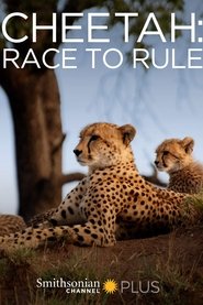 Poster Cheetah: Race to Rule