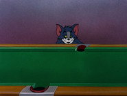 Cue Ball Cat