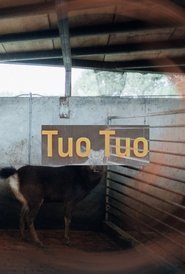Poster Tuo Tuo 2022
