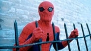 Spider-Man: El hombre araña