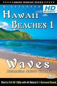 Poster Hawaii Beaches 1 / Waves Relaxation Nature Videos 2009