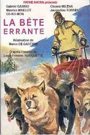 Poster La Bête errante