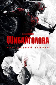 Шибайголова: Народжений заново постер