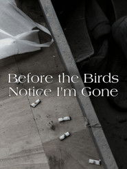 Before the Birds Notice I am Gone