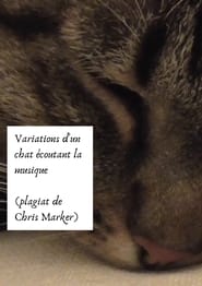 Variations of a cat listening to music (Chris Marker plagiarism)