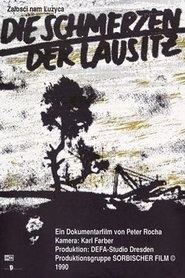 Poster Die Schmerzen der Lausitz 1991