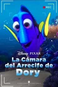Dory's Reef Cam poster