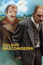 watch Volevo nascondermi now