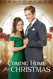 Full Cast of Coming Home for Christmas