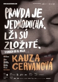 Kauza Cervanová (2013)