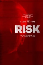 Risk постер