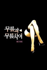 Poster 무릎과 무릎 사이