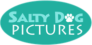 Logo for Salty Dog Pictures Logo for Salty Dog Pictures