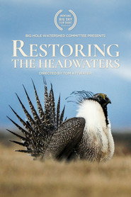 Restoring the Headwaters