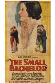 Poster The Small Bachelor 1927