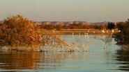 Lake Nasser