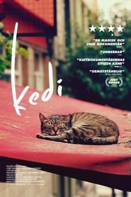 watch Kedi now