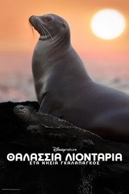 Sea Lions of the Galapagos (2025) online ελληνικοί υπότιτλοι