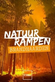 Poster Natuurrampen: Brandhaarden 2016