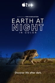 Earth at Night in Colour poster
