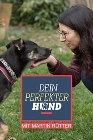 Dein perfekter Hund poster