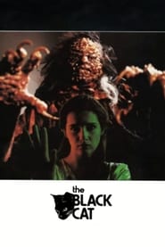 The Black Cat (1989)