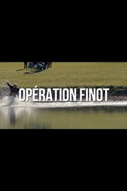 Opération Finot (2019)