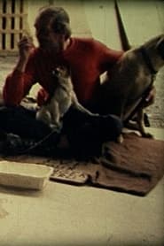Poster for Comme un chien