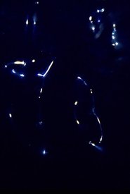 Poster Born to be Yves Klein Blue 2016