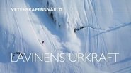 Episode 41