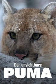 Poster Der unsichtbare Puma - Ein Besucher in Frankreichs Wäldern?