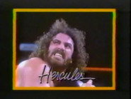 May 14, 1988 - Superstars of Wrestling 89