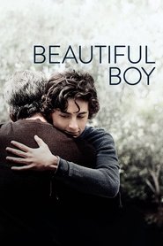 Poster Beautiful Boy 2018