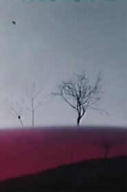 Ho fatto un film a Varese 1°