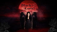Black Coral Watch Movies and TV Shows Streaming