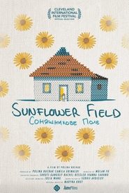 Sunflower Field Sunflower Field