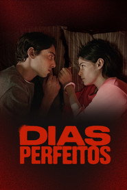 Perfect Days постер