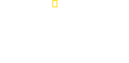 Storm Rising Logo