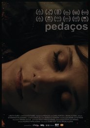 Poster Pedaços