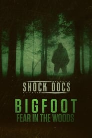 Poster for Bigfoot: Fear in the Woods