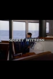 Secret Witness