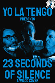 Yo La Tengo presents 23 Seconds of Silence (a Wilco cover)