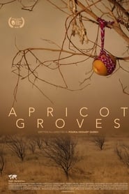 Apricot Groves