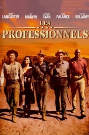 Les Professionnels