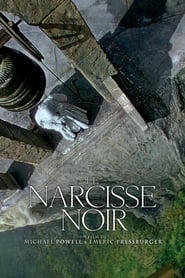 Le Narcisse noir