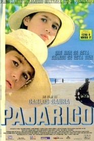 Pajarico