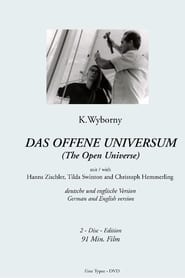 Das offene Universum