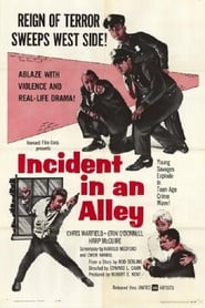 Incident in an Alley