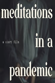 Meditations In A Pandemic