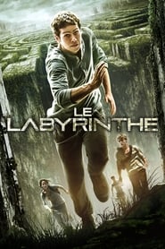 Maze Runner - Il labirinto